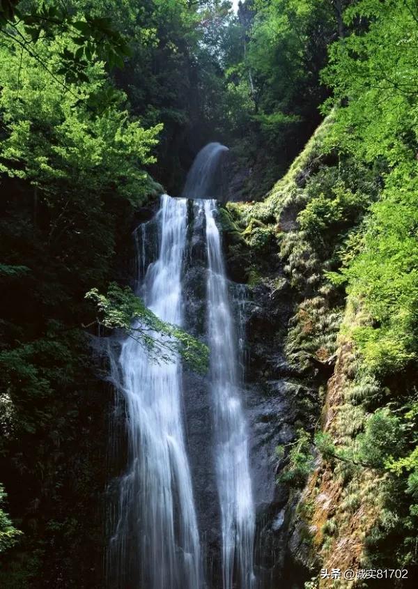 逃出田园庭院